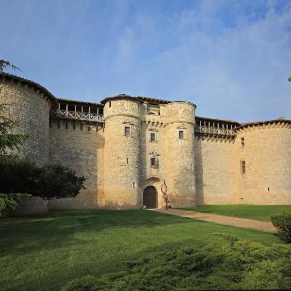 château de Mauriac、Castelnau-de-Montmiralのホテル