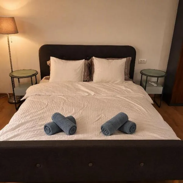 Uniria Studio Balotești Near Therme and Otopeni Airport Free Private Parking, hotel a Baloteşti