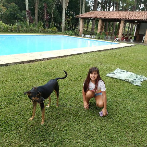 Chácara das Flores- Ibiúna - Foto 4