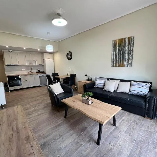 The Central Square Apartment, hotel din Kateríni