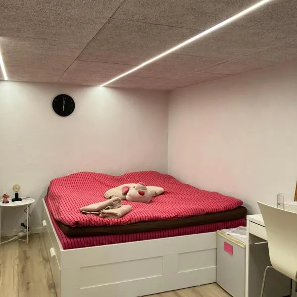Hyggeligt værelse, egen indgang & gode faciliteter, Hotel in Vejle
