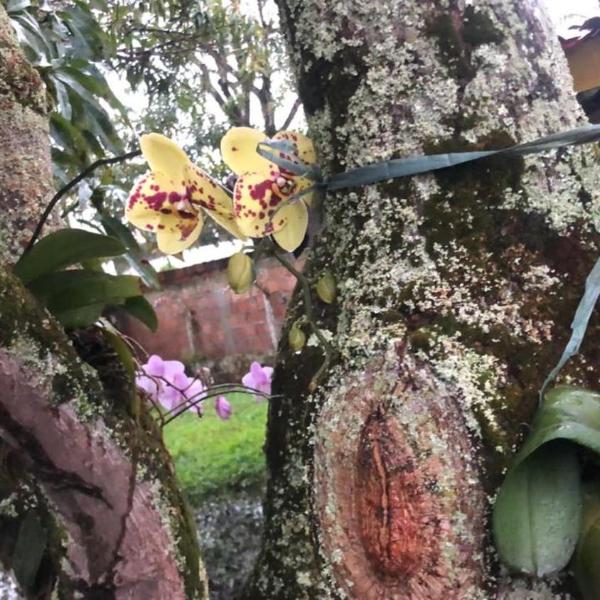 Casa de praia Ilha de Itaparica - Foto 4