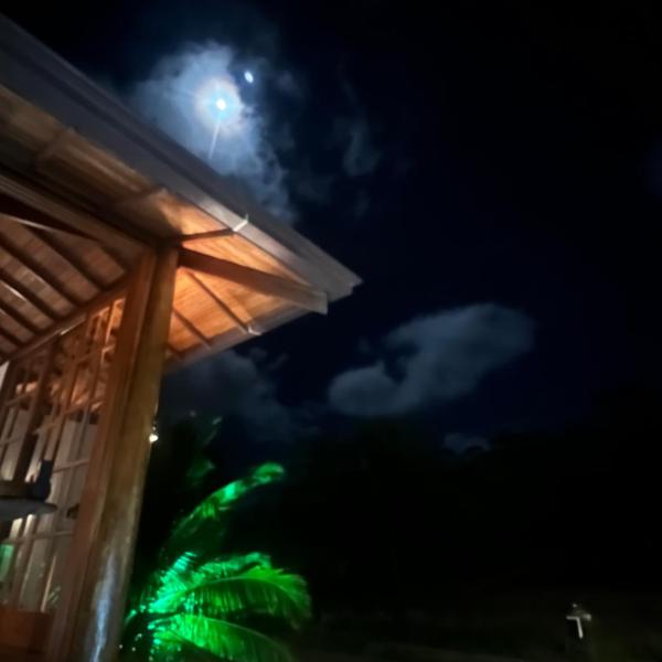Theo Peleteiro São José Beach