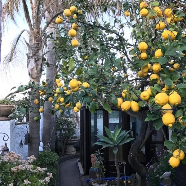 Aquilone Residence, hotel a Stromboli