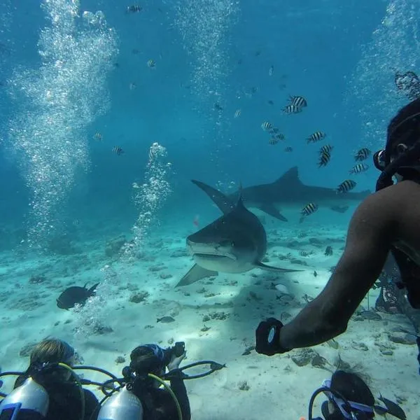 Silver County Fuvahmulah Diving Hotel, hotel u gradu Fuvahmulah