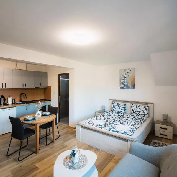 Ikon: Miercurea Ciuc şehrinde bir otel
