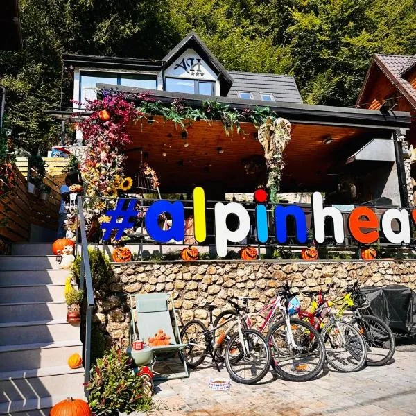 Alpin Heaven, Hotel in Dâmbovicioara