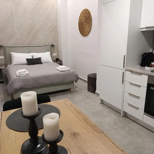 DS Elegant Apartment, hotel en Ermúpoli