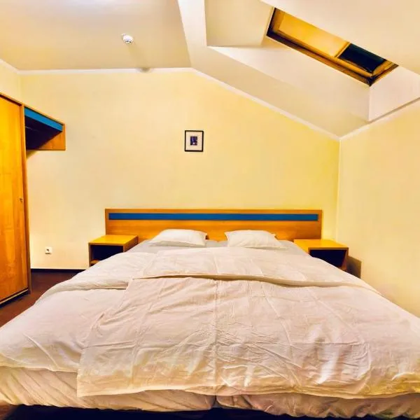 Alishan House, hotel in Vilnius