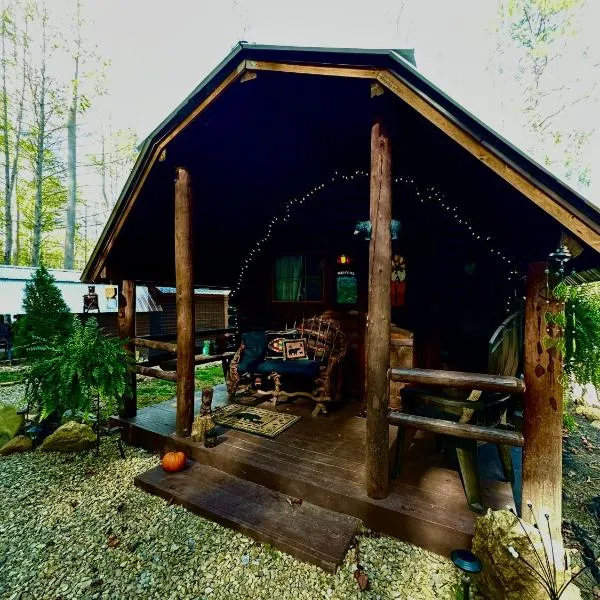 Big Bear Log cabin, отель в городе Cosby