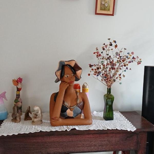 Ana Terra Barretos - Foto 5
