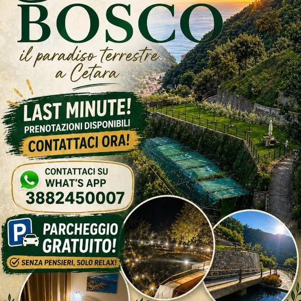 TENUTA BOSCO-Casa Vacanze, hotel i Cetara