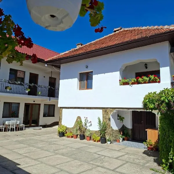 Pensiunea Ileana, hotel in Novaci