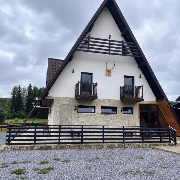 Cabana Dor de Calimani, hotel i Neagra Şarului