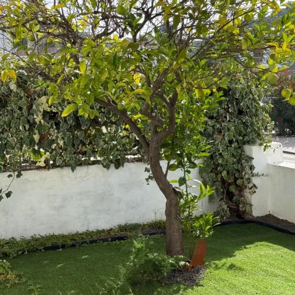 Orange Tree Private Home, hotell i Santarém