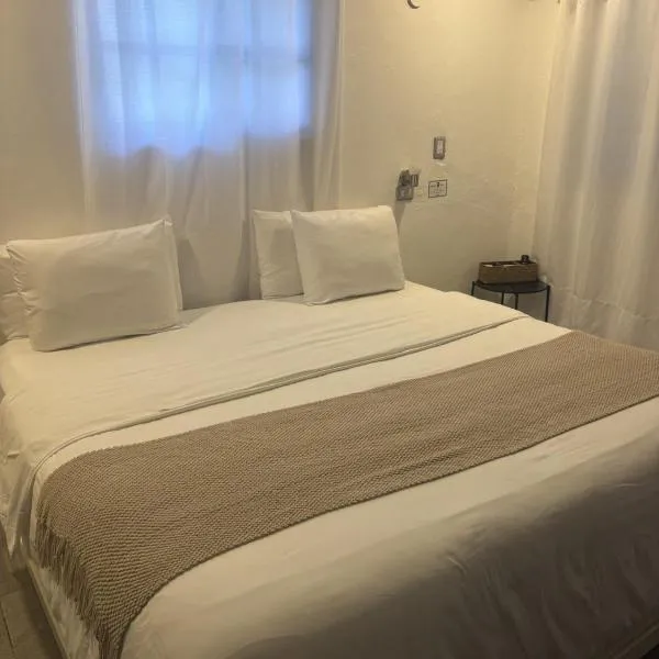 La Perle Noire - Dive Hotel Cozumel，科蘇梅爾的飯店