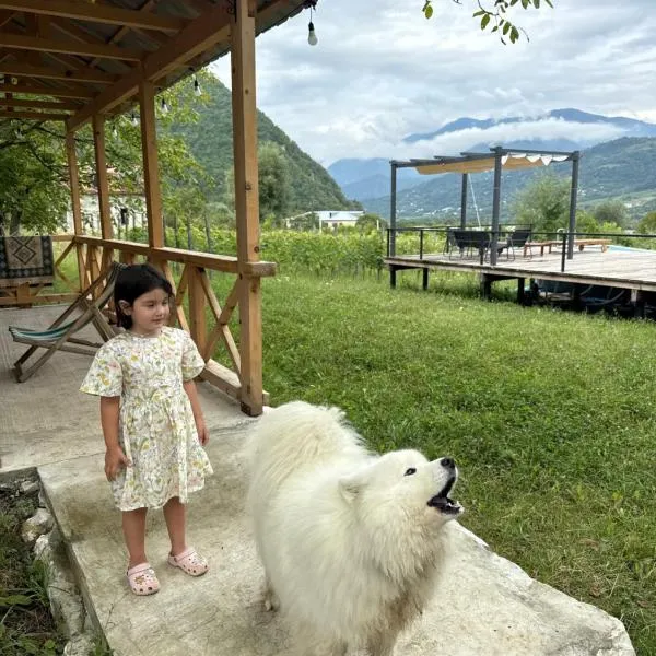 Rachuli blendi, hotel i Ambrolauri