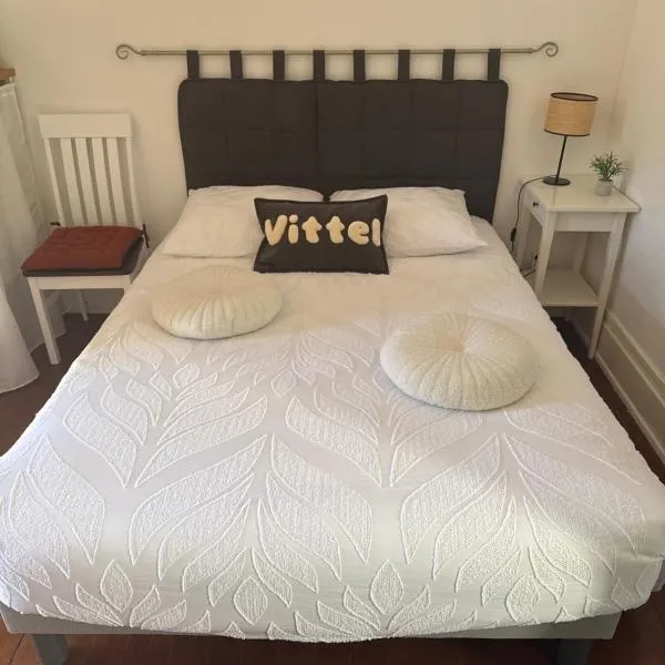 La grenouille des thermes, hotel din Vittel
