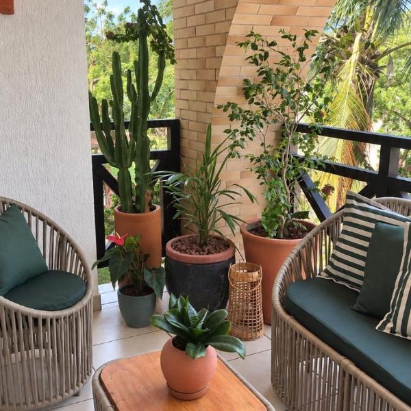 Casa Terracota Boutique Apartment Praia do Amor