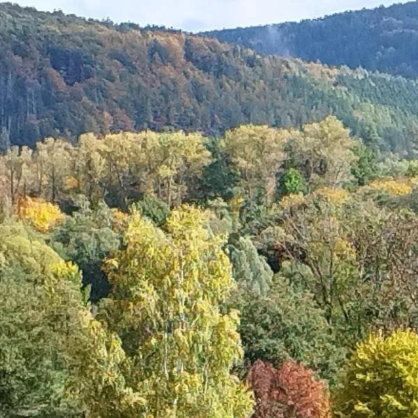 Ferienwohnung Waidmannsheil, ξενοδοχείο σε Amtsberg