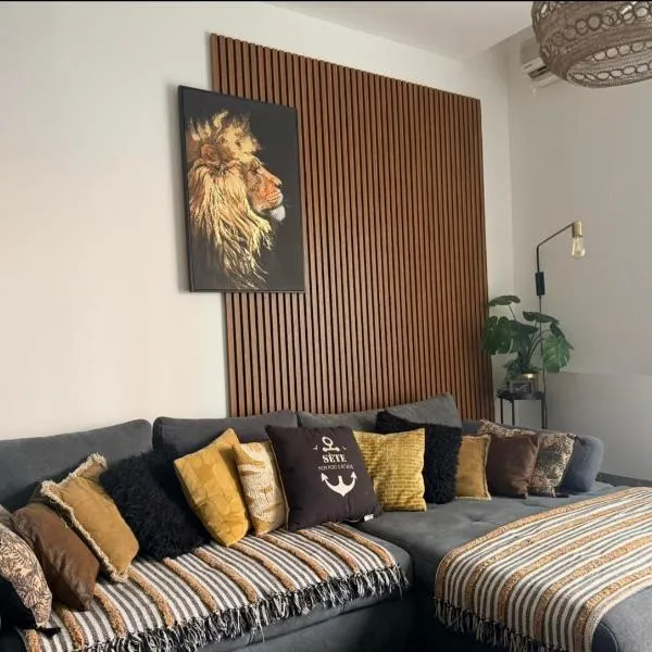le J&J Appartement spacieux climatisé en centre ville, hotel Sète-ben