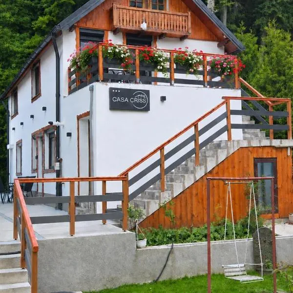 Casa Criss, Hotel in Sinaia