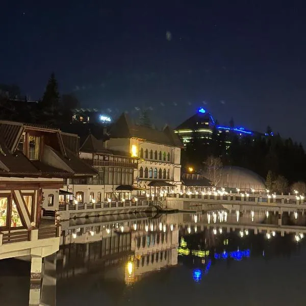 Apartament spațios, complet mobilat și utilat, viešbutis mieste Poiana Brasov