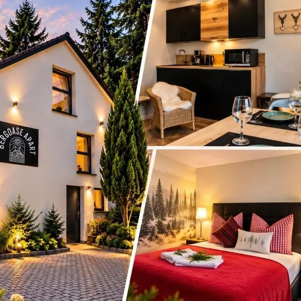 BergOase-Apart am Feldberg, hotel em Feldberg