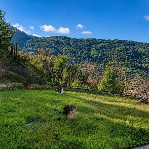 Helmos View - Relaxation & Nature,Valimí的飯店