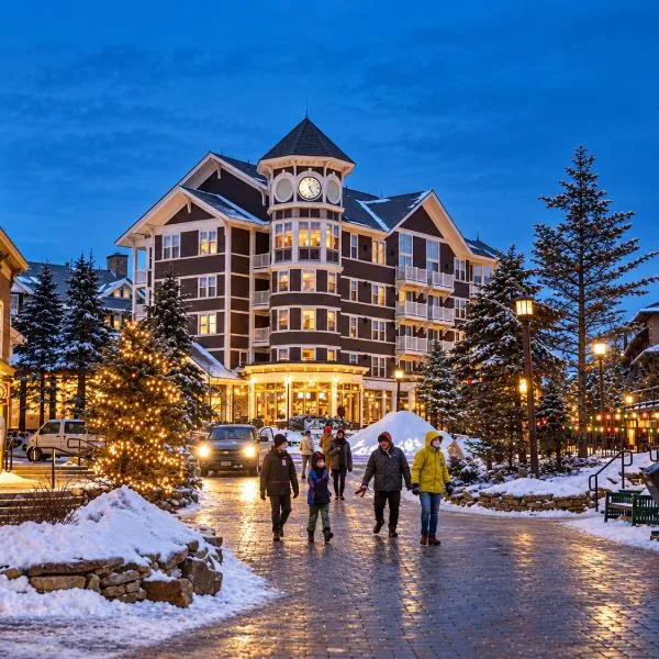 Fireplace Studio Ski-InOut Village Center – hotel w mieście Snowshoe