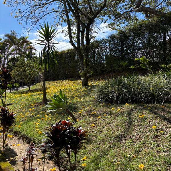 Bela vista - Foto 5
