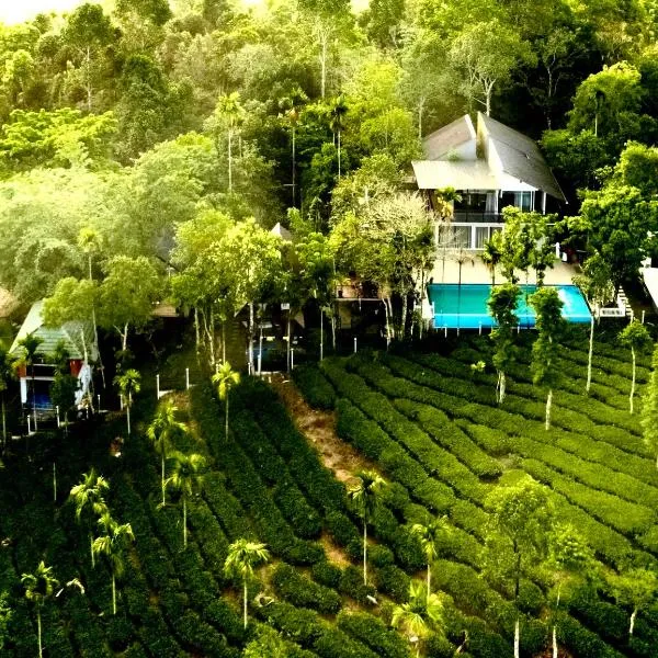 Hayashi Resort, khách sạn ở Meppādi