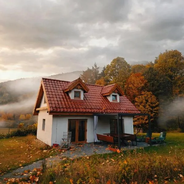 Domek w Górach Sowich Kamionki, hotel u gradu 'Pieszyce'