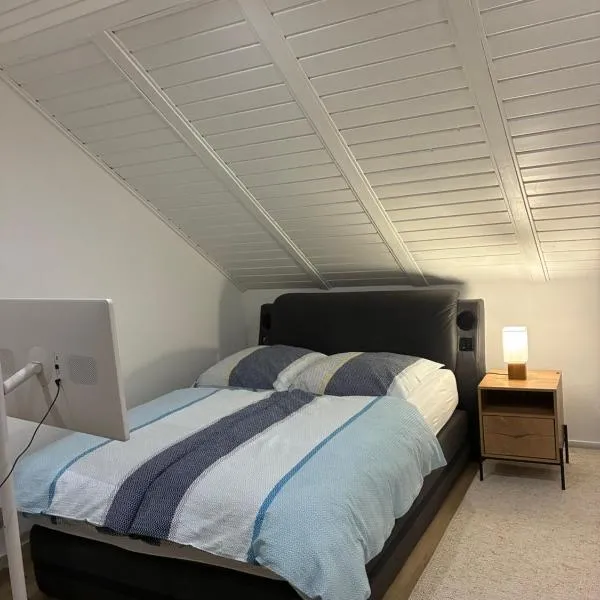 Klimatisierte Dachgeschoss-Unterkunft in Speyer, Hotel in Speyer
