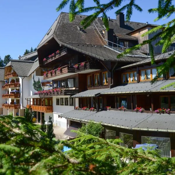 Hotel Schöne Aussicht, hotel in Niederwasser