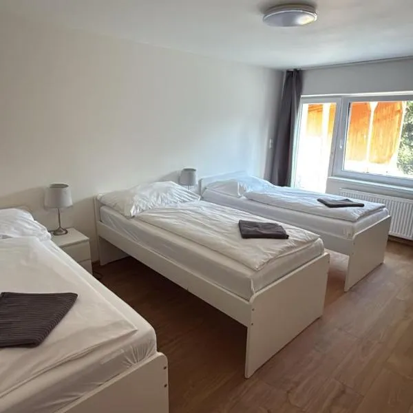 Apartment Tereza, Hotel in Hošťka