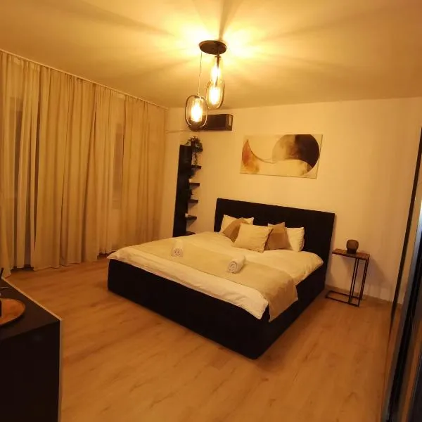 CC Accommodation,Popeşti-Leordeni的飯店