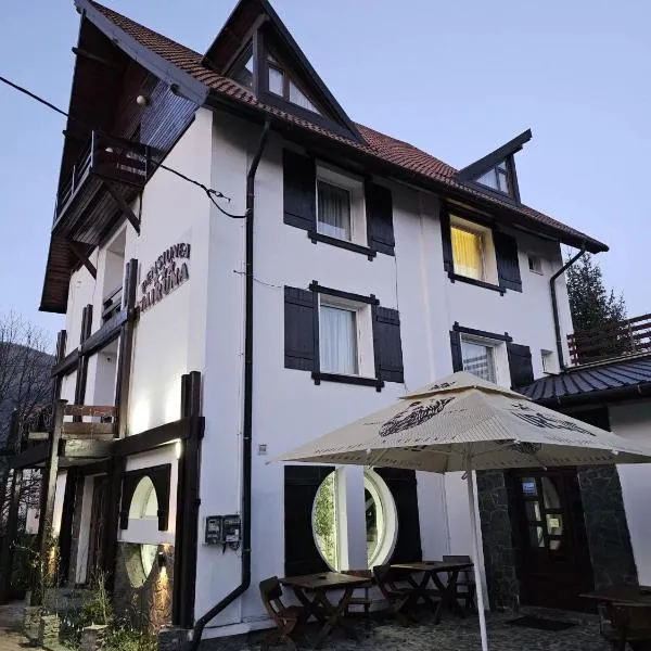 Pensiunea Miruna Benamino, hotel u gradu 'Bran'
