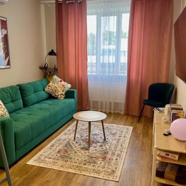 Kamianets Central Apartments，位于卡缅涅茨-波多利斯基的酒店