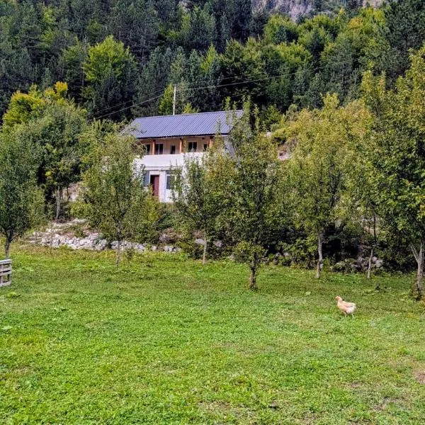 Valbonë में, होटल Guests house, Artani