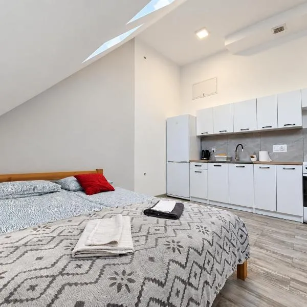 Viesnīca Apartamenty Parkowe nr 8 pilsētā Kvidzina
