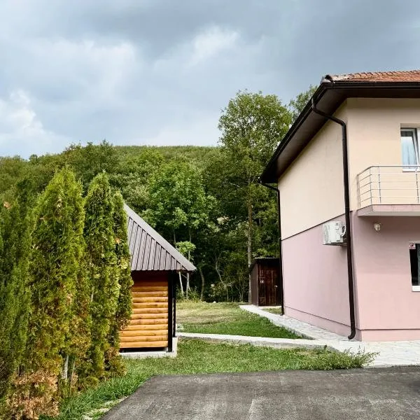Mirina village house, hotel Pljevljában