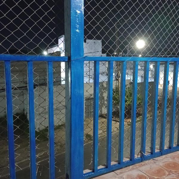 Véi da lancha - Foto 3