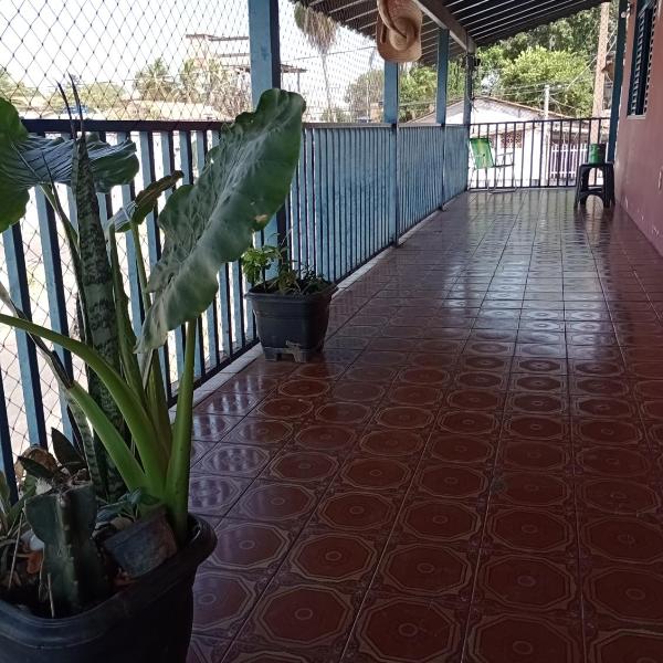 Véi da lancha - Foto 4