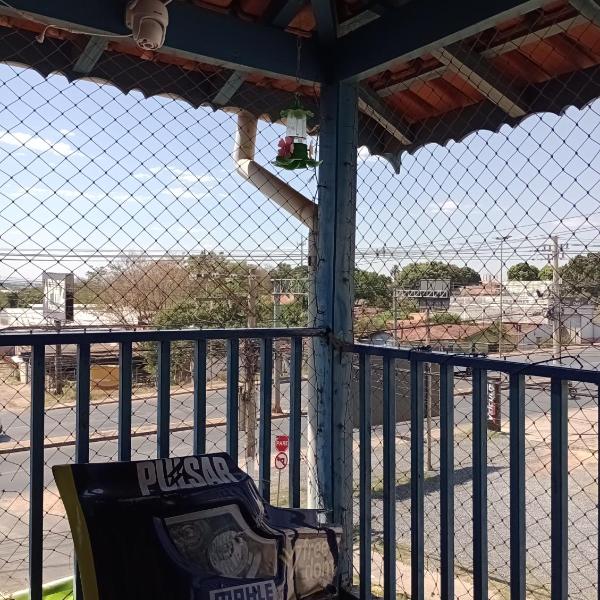 Véi da lancha - Foto 5