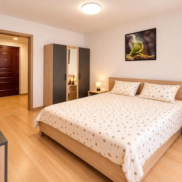 Nicolle Cozy Apartment, hotel v destinácii Piteşti