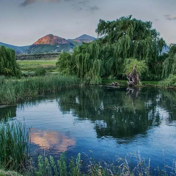 De Molen Farm, hotel a Die Ark