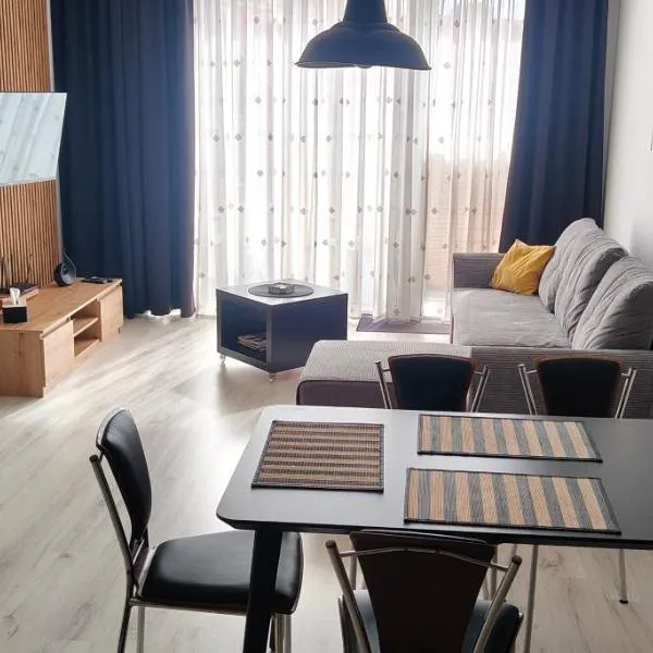 미엥지제치에 위치한 호텔 Apartament na Malczewskiego