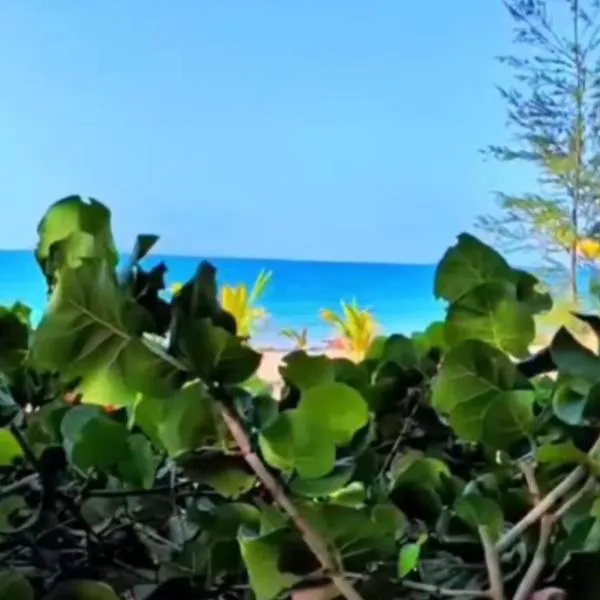 Ocean Motion Rental Casa en la playa con piscina cerca Yunque y VSjuan、Loizaのホテル