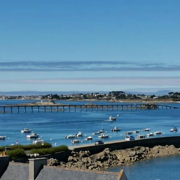 Studio vue mer roscoff et île de batz, hotell i Roscoff